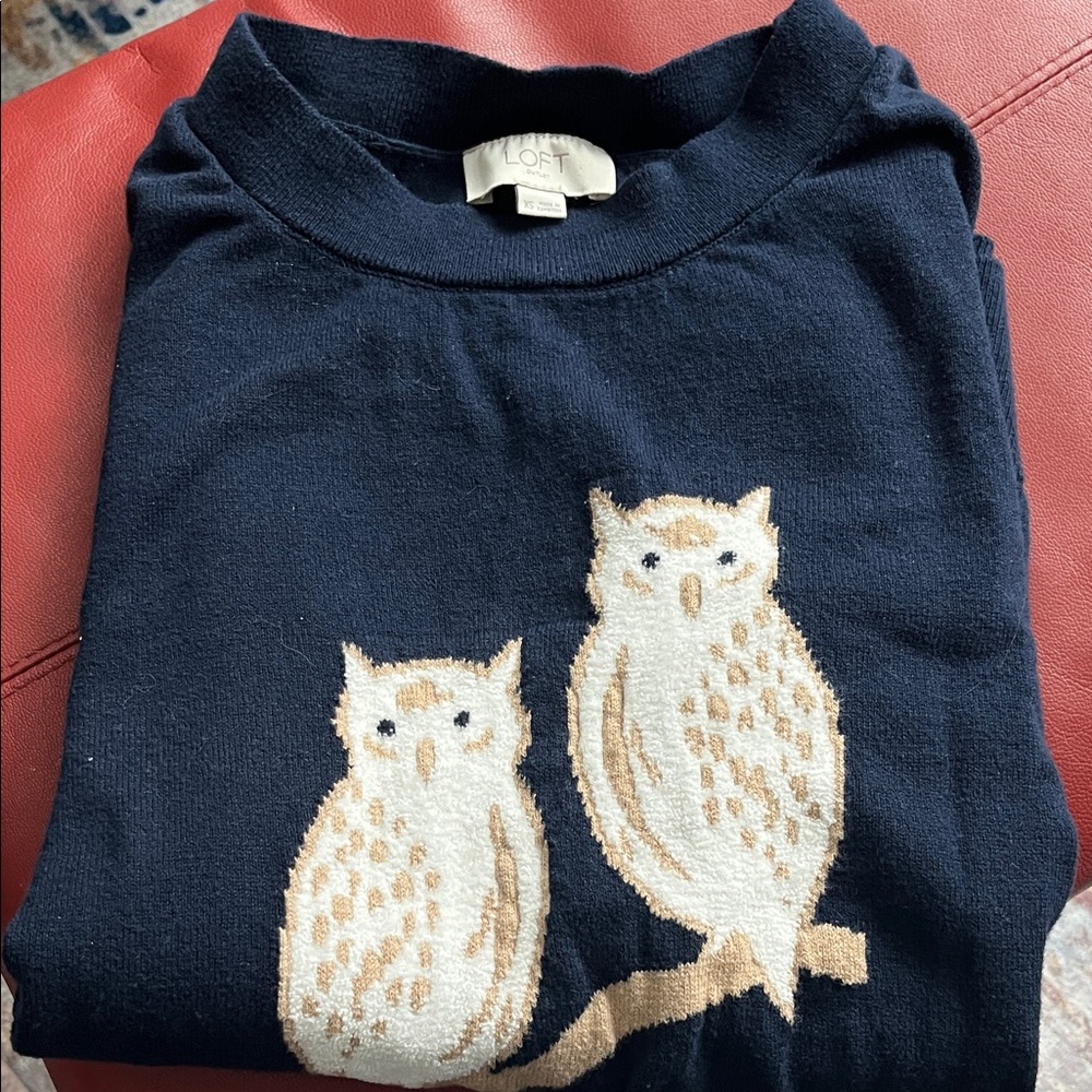 LOFT Dark Blue sweater with Owl Pattern
